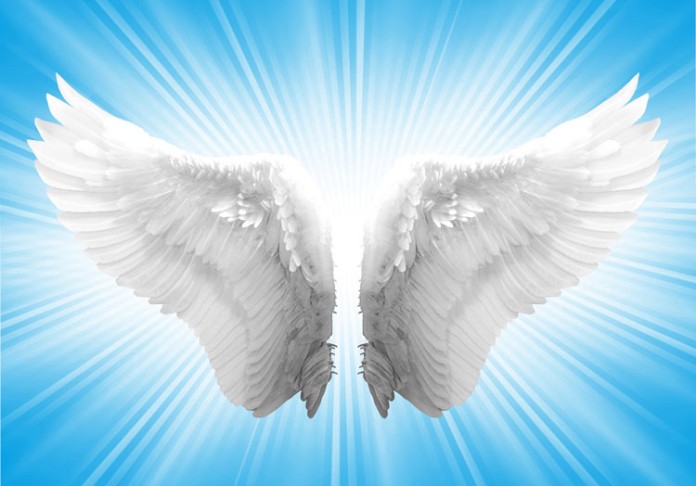 angels-wings-696x486